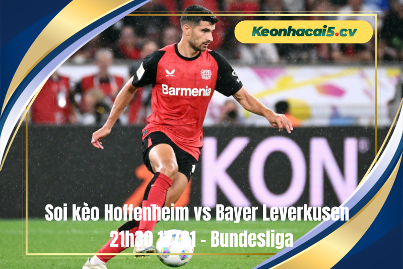 Đội hình dự kiến trước trận Hoffenheim vs Bayer Leverkusen Đội hình dự kiến trước trận Hoffenheim vs Bayer Leverkusen