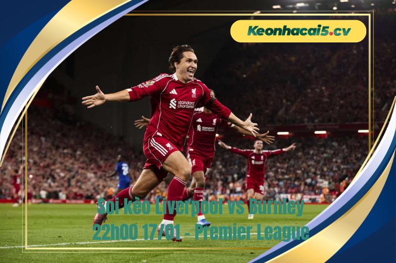 Đội hình dự kiến trước trận Liverpool vs Burnley Đội hình dự kiến trước trận Liverpool vs Burnley