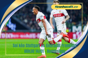 Đội hình dự kiến trước trận Stuttgart vs Eintracht Frankfurt
