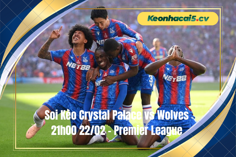 Đội hình dự kiến trước trận Crystal Palace vs Wolves Đội hình dự kiến trước trận Crystal Palace vs Wolves