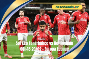 Đội hình dự kiến trước trận Fenerbahce vs Nottingham